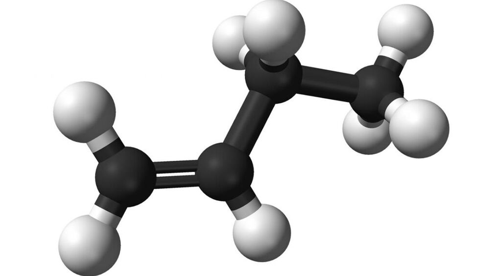 skvalanas Proctonic